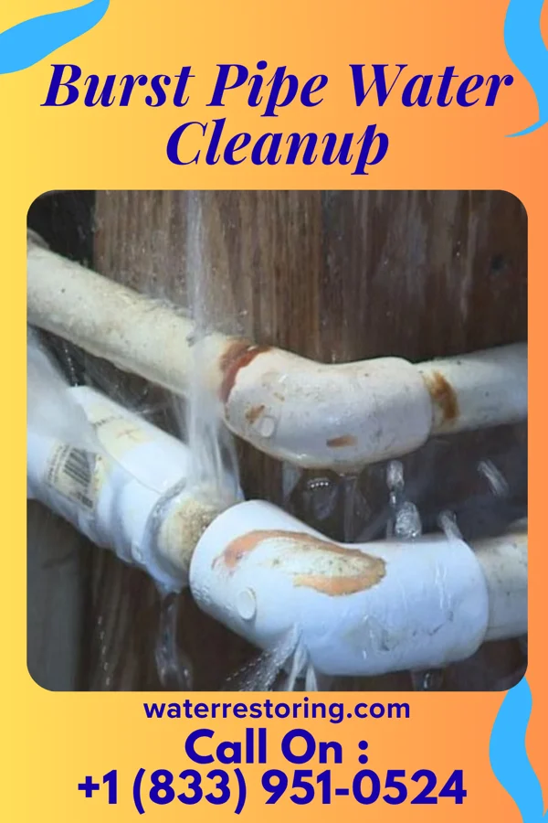 Burst Pipe Water Cleanup in Gretna, NE