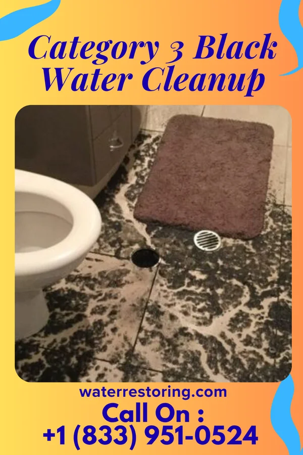 Category 3 Black Water Cleanup in Gretna, NE