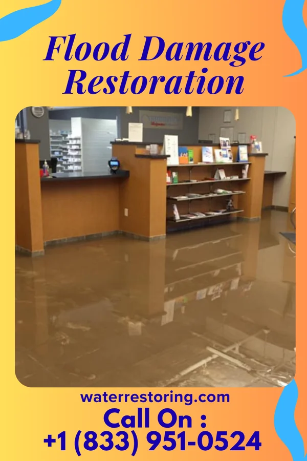Flood Damage Restoration in Gretna, NE
