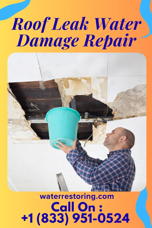 Roof Leak Water Damage Repair in Gretna, NE